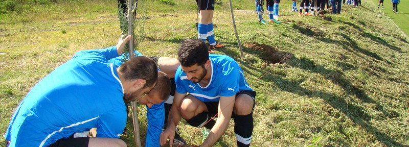 გამწვანების აქცია ზესტაფონელთა ბაზაზე